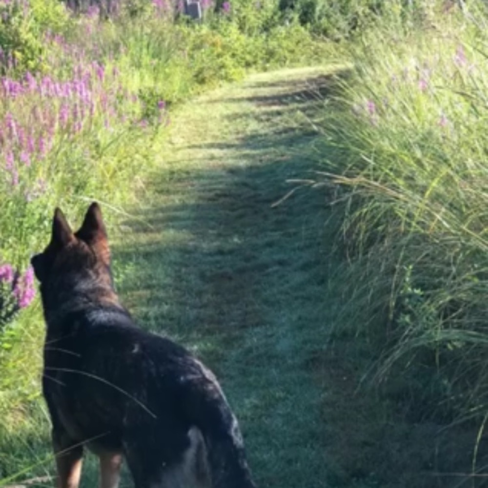 Meet your Posher, Nannette